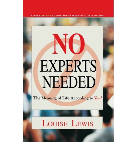 no-experts-needed-book
